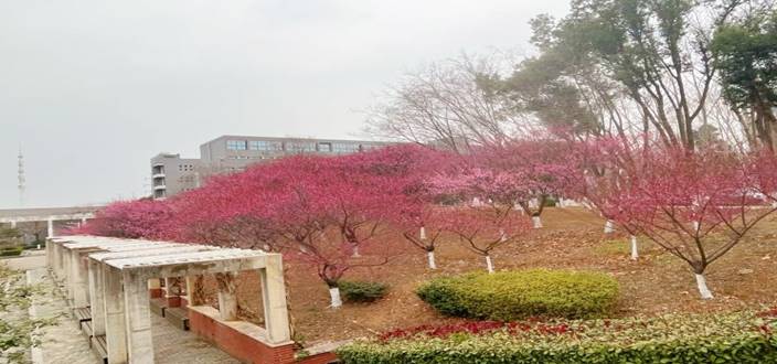 b45e070d7c004dc3acbae083ead19b0