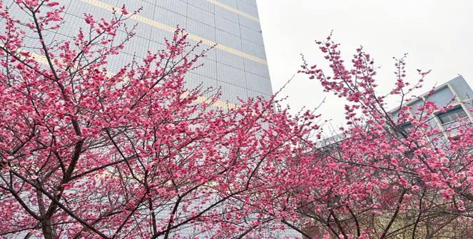 f9e0a6533fd3fa249ed240734a7ed4e