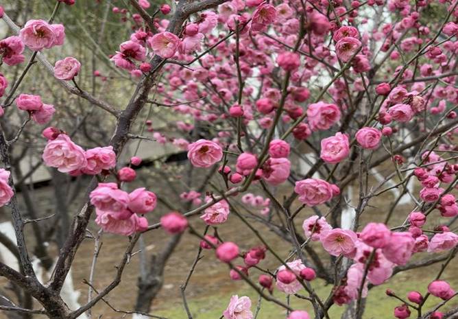 ef59628b44327faf5a040400f1b88d5