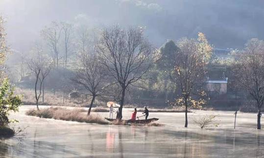 8071075008b63ddf7104a8c3b65d7c0